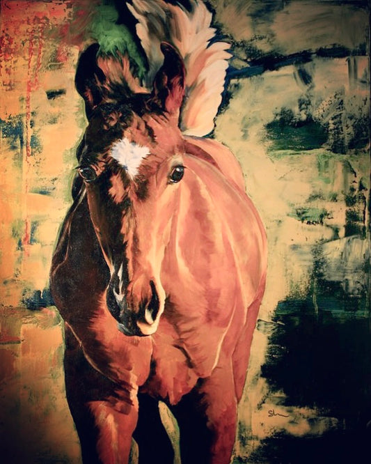 Chestnut Foal