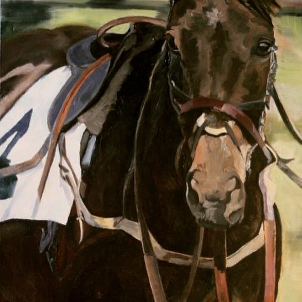 Bay in paddock