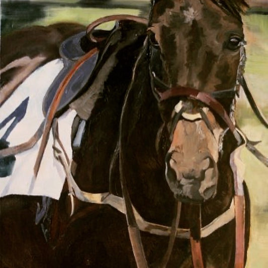 Bay in paddock